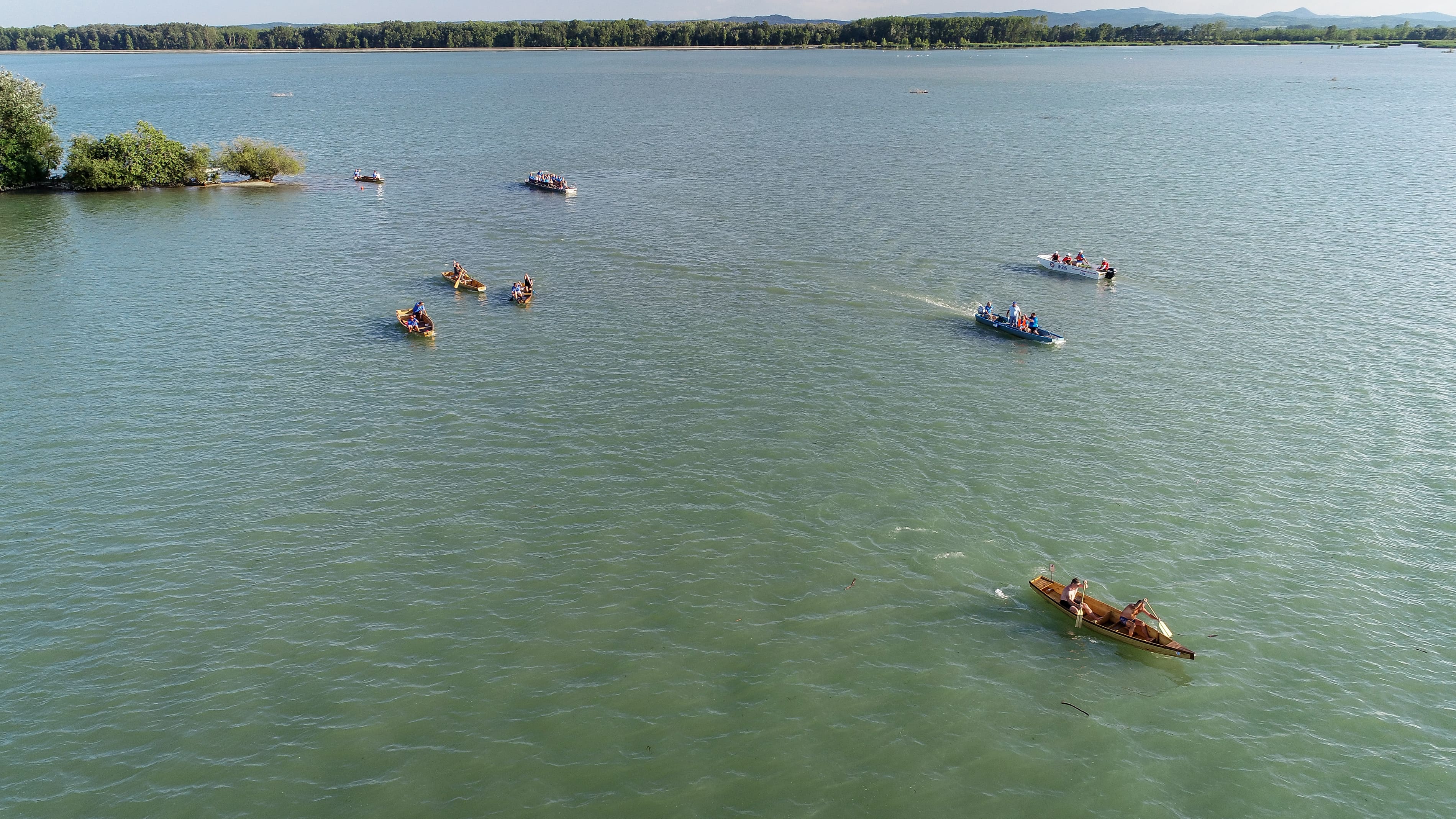 LOV NA LABUĐE PERO 2024.